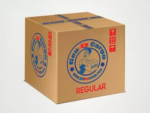 普通箱運往印度尼西亞（20公斤）